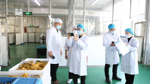 大連自貿片區推出食品生產加工“5G+AR”智慧監管新模式，賦能健康管理與咨詢